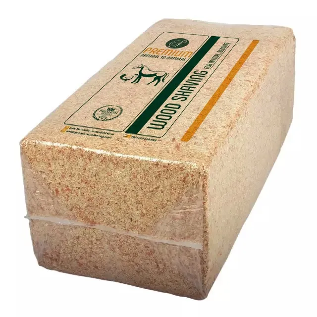 WhatsApp Image 2024-10-13 at 12.39.39 PM (1)